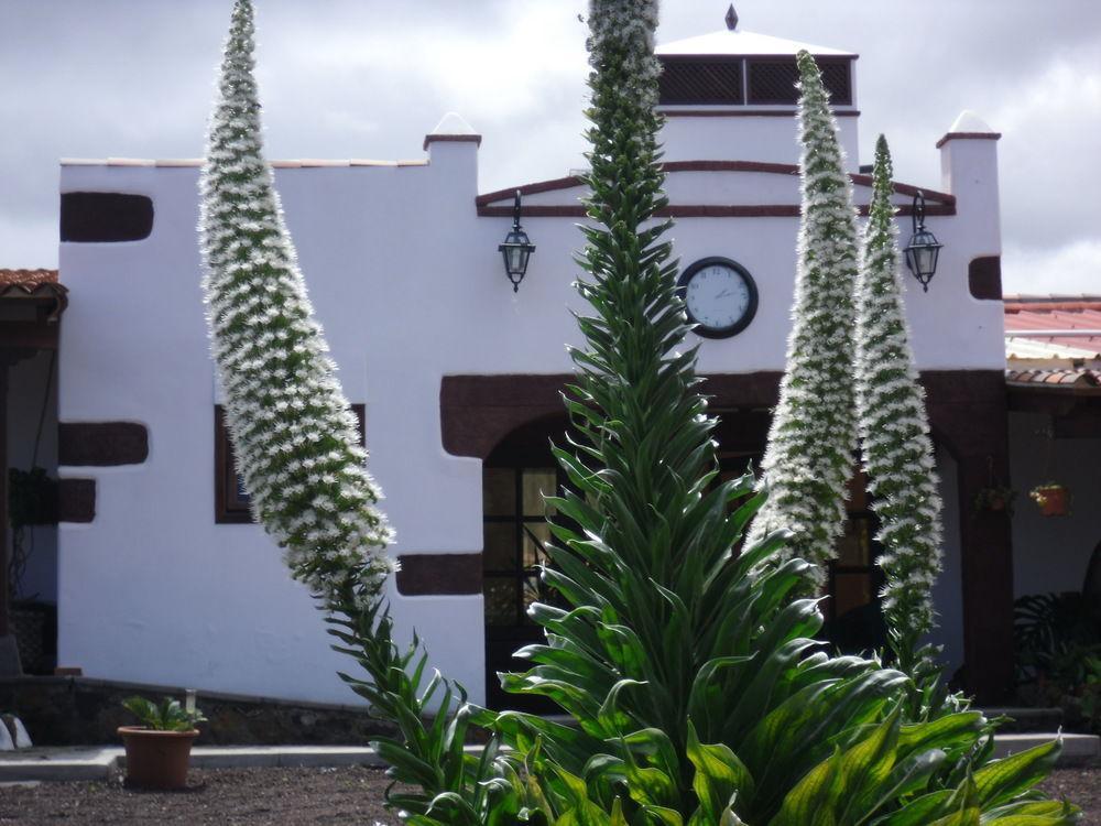 Hôtel Finca El Picacho à Valle de Guerra Extérieur photo